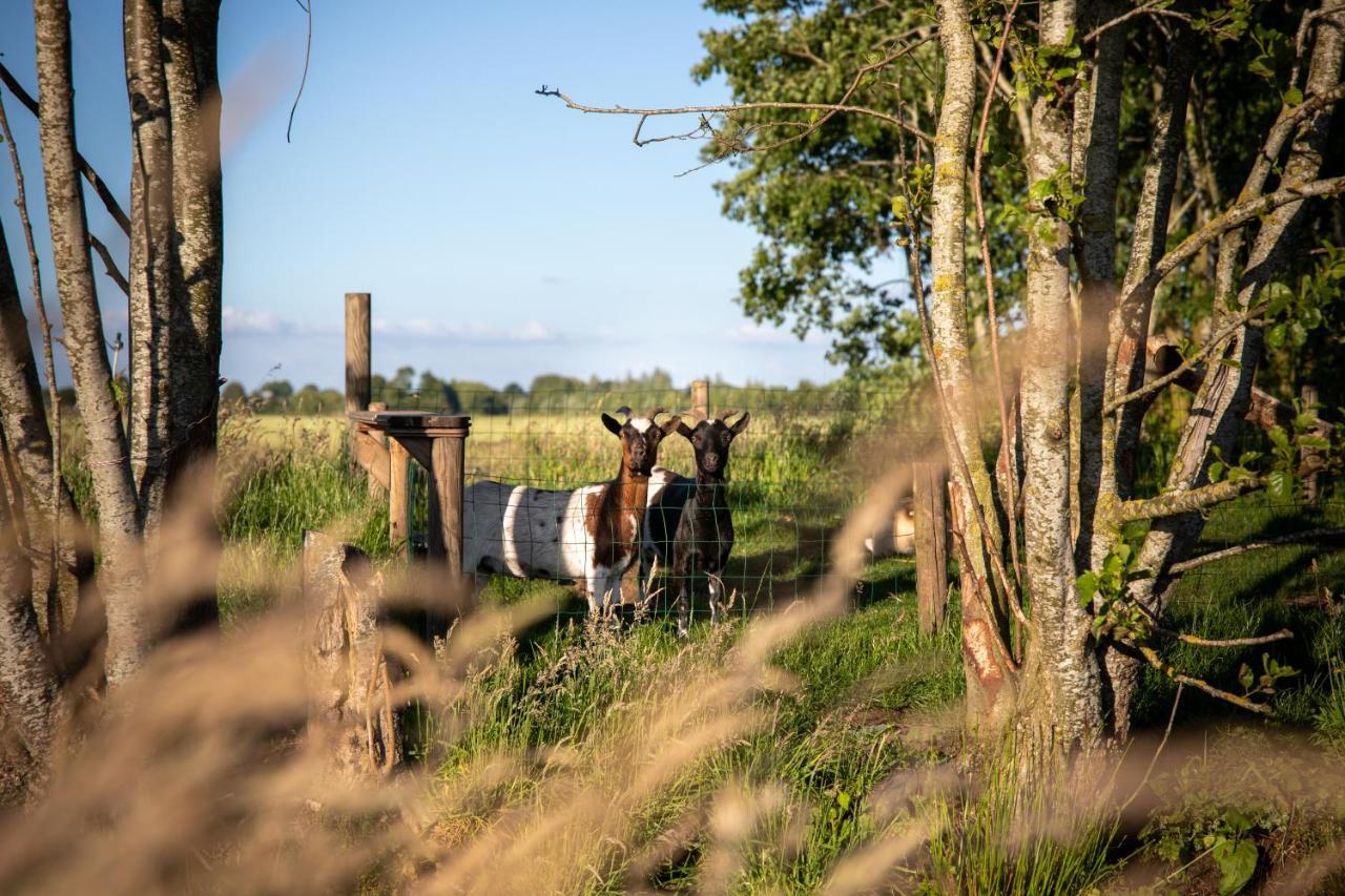 Ruyge Weyde Logies - The Farmers Daughter Villa Oudewater Luaran gambar